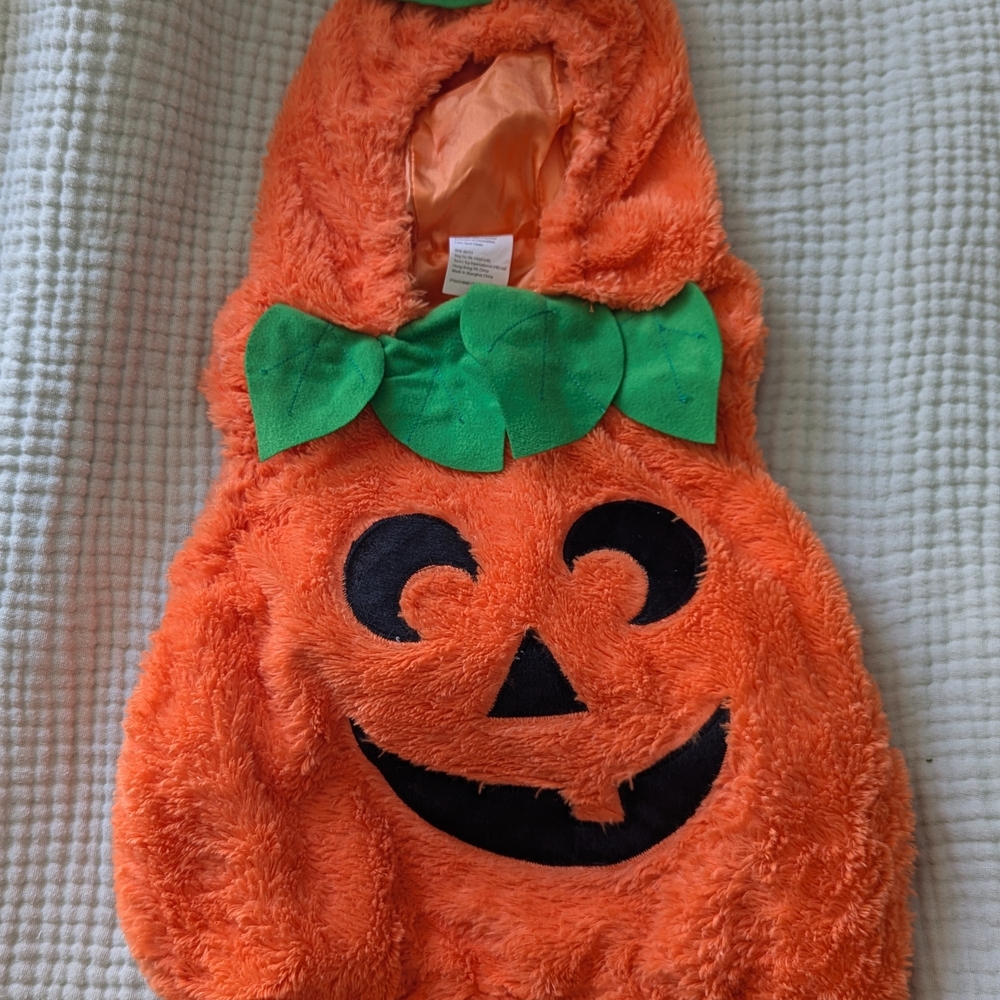 Pumpkin Costume for Kids - Orange and Green